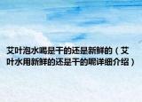 艾叶泡水喝是干的还是新鲜的（艾叶水用新鲜的还是干的呢详细介绍）