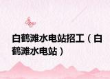 白鹤滩水电站招工（白鹤滩水电站）