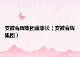 安徽春晖集团董事长（安徽春辉集团）