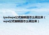 ipadwps公式编辑器怎么调出来（wps公式编辑器怎么调出来）
