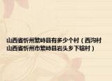 山西省忻州繁峙县有多少个村（西沟村 山西省忻州市繁峙县岩头乡下辖村）