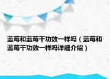 蓝莓和蓝莓干功效一样吗（蓝莓和蓝莓干功效一样吗详细介绍）