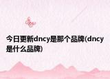 今日更新dncy是那个品牌(dncy是什么品牌)