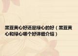 黑豆黄心好还是绿心的好（黑豆黄心和绿心哪个好详细介绍）
