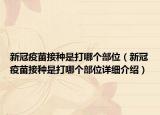 新冠疫苗接种是打哪个部位（新冠疫苗接种是打哪个部位详细介绍）