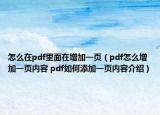 怎么在pdf里面在增加一页（pdf怎么增加一页内容 pdf如何添加一页内容介绍）