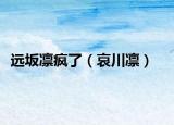 远坂凛疯了（哀川凛）