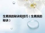 生男孩的秘诀和技巧（生男孩的秘诀）