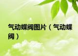 气动蝶阀图片（气动蝶阀）