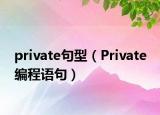 private句型（Private 编程语句）