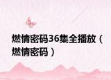 燃情密码36集全播放（燃情密码）