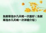鱼腥草泡水几天喝一次最好（鱼腥草泡水几天喝一次详细介绍）
