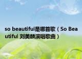 so beautiful是哪首歌（So Beautiful 刘美麟演唱歌曲）