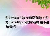 华为mate40pro有没有5g（华为mate40pro支持5g吗 是不是5g介绍）