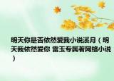 明天你是否依然爱我小说溪月（明天我依然爱你 雷玉专属著网络小说）