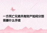 一方死亡兄弟共有财产如何分割需要什么手续