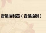 音量控制器（音量控制）