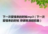 下一次爱情来的时候mp3（下一次爱情来的时候 蔡健雅演唱歌曲）