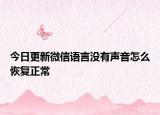 今日更新微信语言没有声音怎么恢复正常