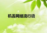 机丢网络流行语