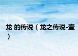 龙 的传说（龙之传说-壹）