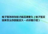 梭子蟹怎样存放才能活得更久（梭子蟹买回来怎么存放能活久一点详细介绍）