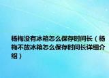 杨梅没有冰箱怎么保存时间长（杨梅不放冰箱怎么保存时间长详细介绍）