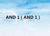 AND 1（AND 1）