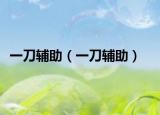 一刀辅助（一刀辅助）
