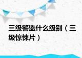 三级警监什么级别（三级惊悚片）