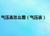 气压表怎么看（气压表）
