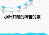小叶开唱的痛苦的歌