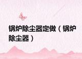 锅炉除尘器定做（锅炉除尘器）