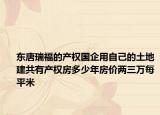 东唐瑞福的产权国企用自己的土地建共有产权房多少年房价两三万每平米