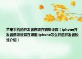 苹果手机的开发者选项在哪里设置（iphone开发者选项设置在哪里 iphone怎么开启开发者模式介绍）