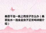桑葚干泡一晚上有虫子怎么办（桑葚盐水一泡全是虫子正常吗详细介绍）