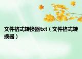 文件格式转换器txt（文件格式转换器）