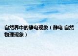 自然界中的静电现象（静电 自然物理现象）