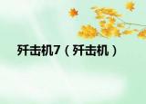 歼击机7（歼击机）