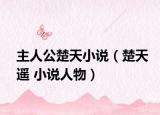 主人公楚天小说（楚天遥 小说人物）