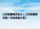 三伏贴是每天贴么（三伏贴是每天贴一次吗详细介绍）