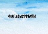 有机硅改性树脂
