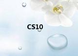 CS10