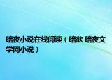 暗夜小说在线阅读（暗欲 暗夜文学网小说）