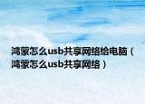 鸿蒙怎么usb共享网络给电脑（鸿蒙怎么usb共享网络）