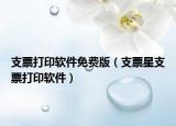 支票打印软件免费版（支票星支票打印软件）