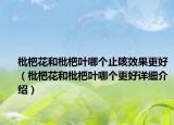 枇杷花和枇杷叶哪个止咳效果更好（枇杷花和枇杷叶哪个更好详细介绍）
