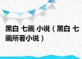 黑白 七画 小说（黑白 七画所著小说）