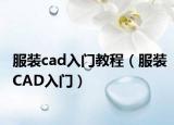 服装cad入门教程（服装CAD入门）