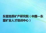 东盟地质矿产研究院（中国—东盟矿业人才培训中心）